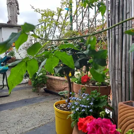 Apartment Antica Casa Al