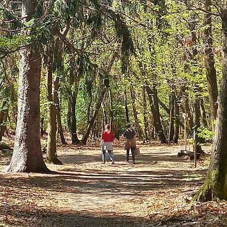 Apartment Antica Casa Al Oggebbio