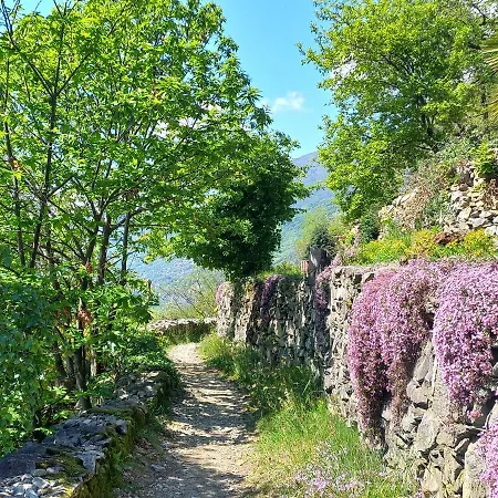 Antica Casa Al Apartment *